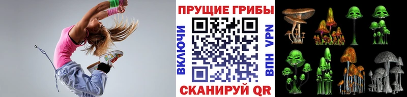 купить   kraken tor  Галлюциногенные грибы Psilocybine cubensis  Астрахань 